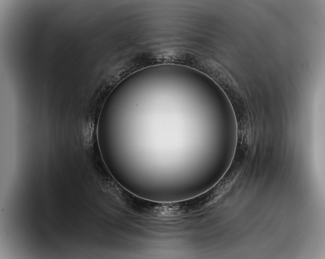 X0000096130660200801181114