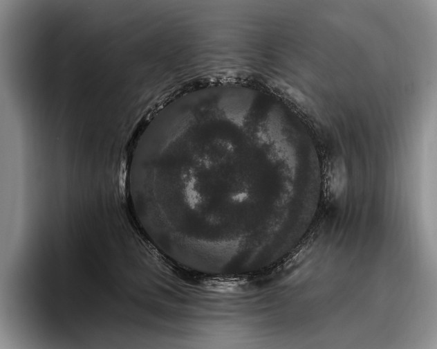 X0000096130661200801181114