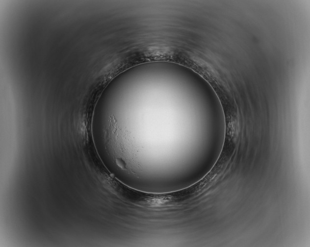 X0000096130662200801181114