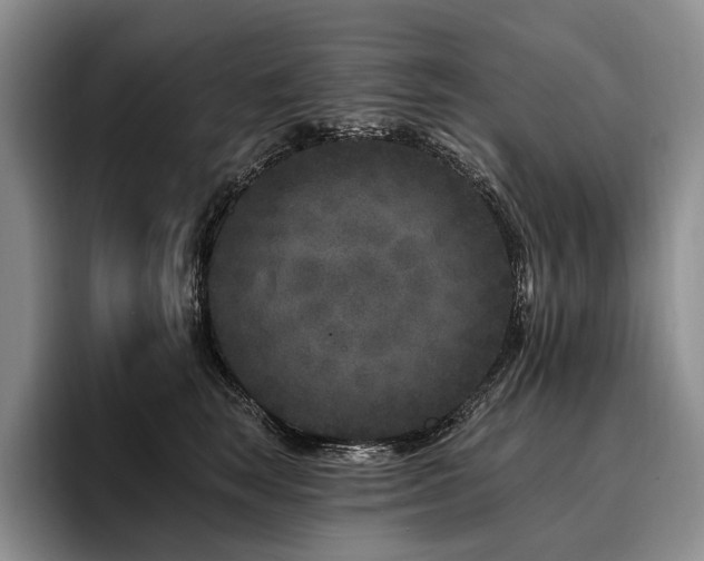 X0000096130663200801181114