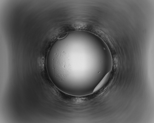 X0000096130664200801181114