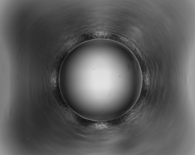 X0000096130668200801181114
