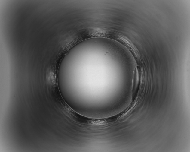 X0000096130669200801181114