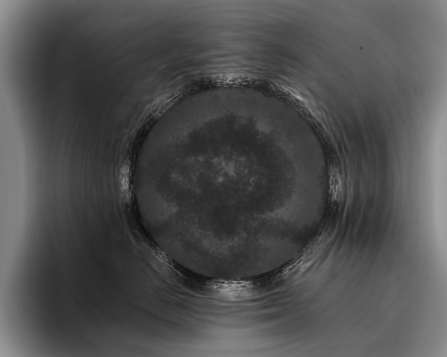 X0000096130670200801181114