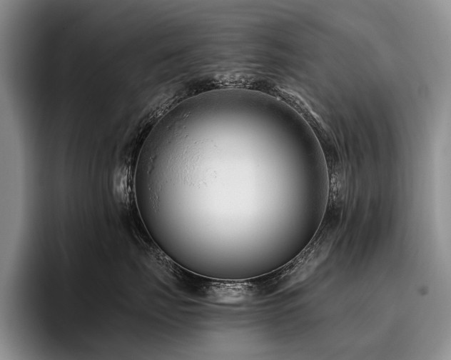 X0000096130671200801181114