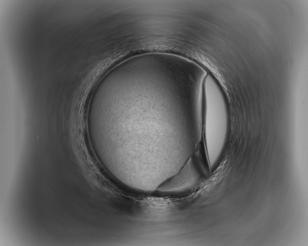 X0000096130673200801181113