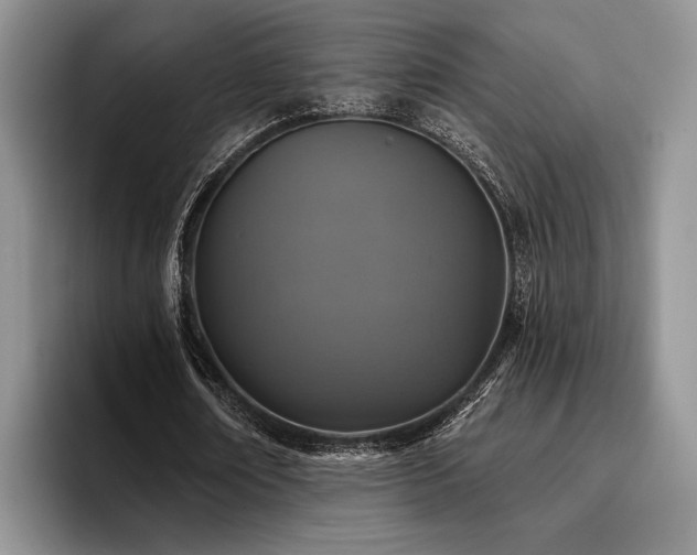 X0000096130674200801181113
