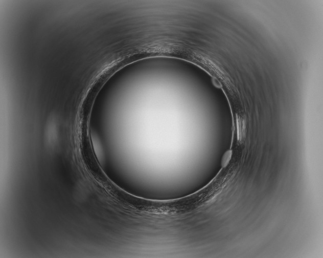 X0000096130675200801181113