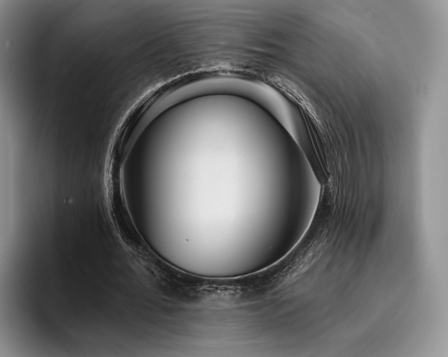 X0000096130676200801181113