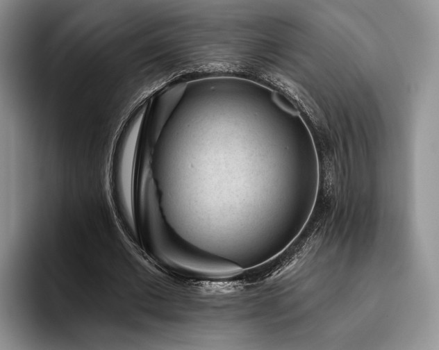 X0000096130677200801181113