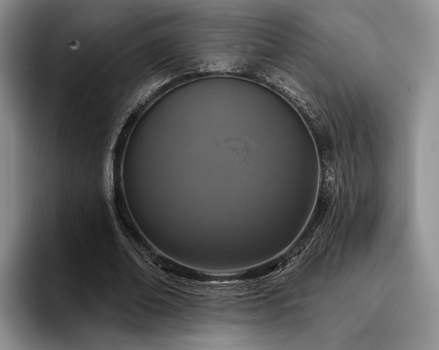 X0000096130678200801181113