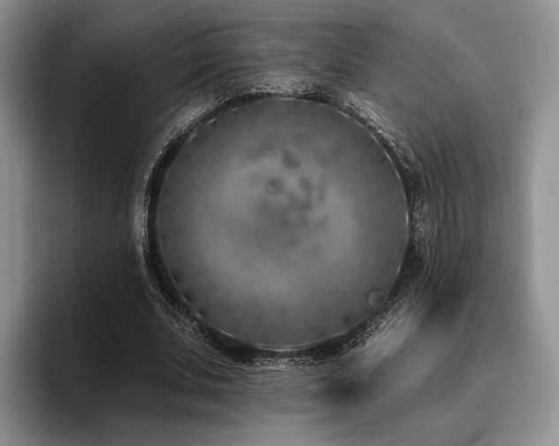 X0000096130679200801181113
