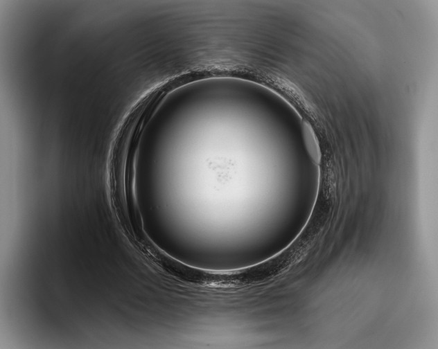 X0000096130680200801181113