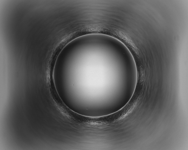 X0000096130681200801181113