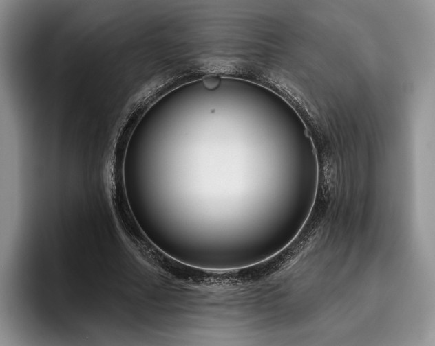 X0000096130682200801181113