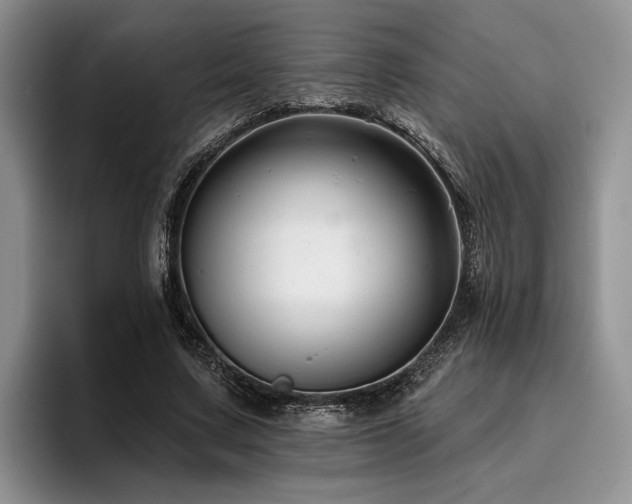 X0000096130683200801181113