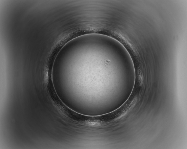 X0000096130685200801181113
