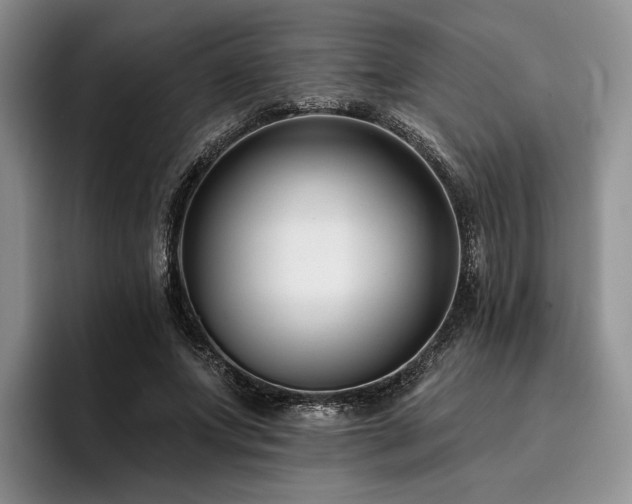 X0000096130687200801181113