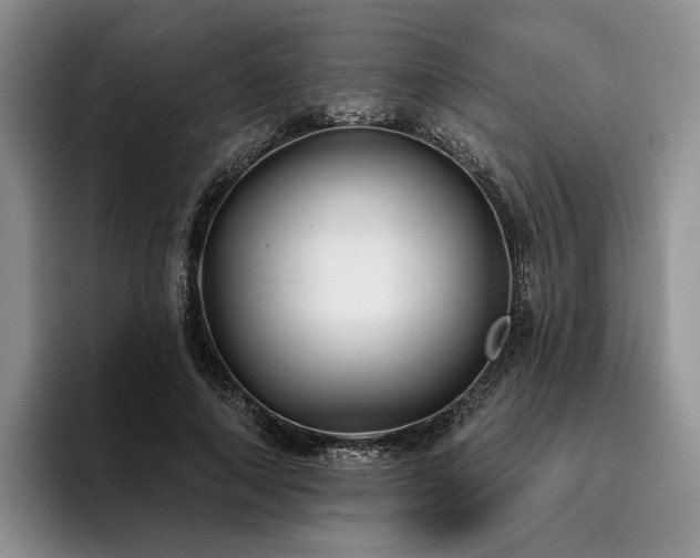 X0000096130690200801181113