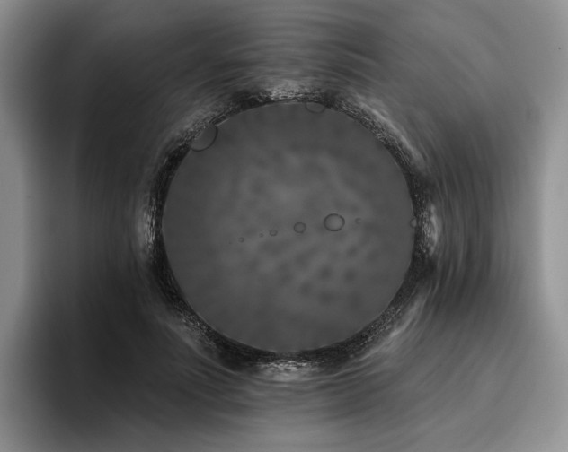 X0000096130691200801181113