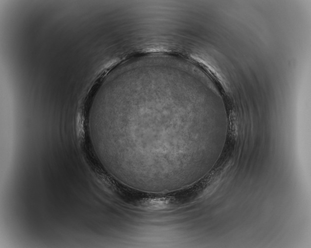 X0000096130692200801181113
