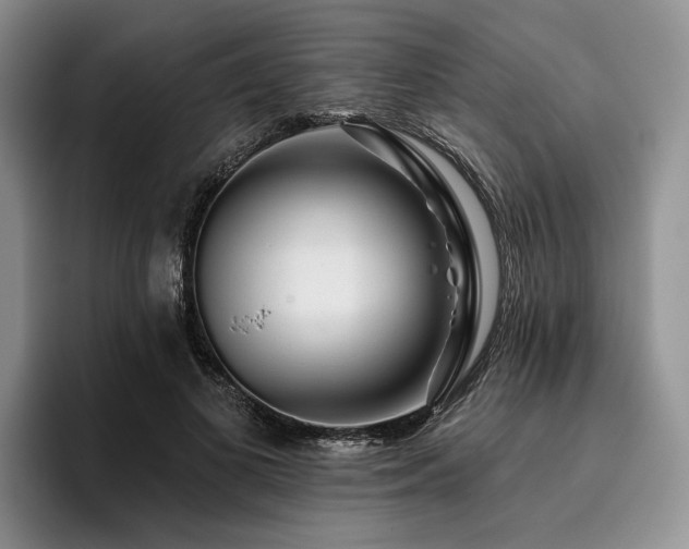 X0000096130693200801181113
