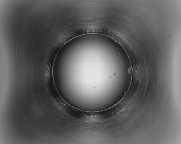 X0000096130695200801181113