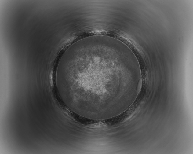 X0000096130696200801181113