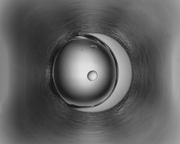 X0000096130697200801181113
