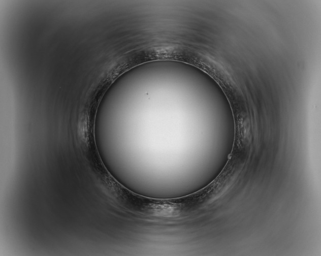 X0000096130698200801181113