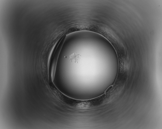 X0000096130700200801181113