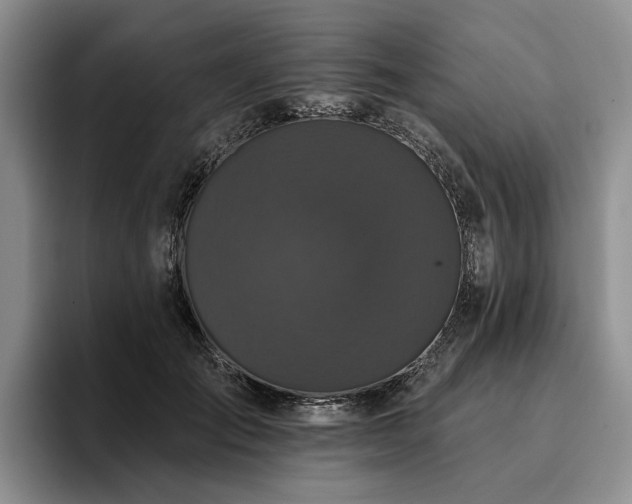 X0000096130701200801181113