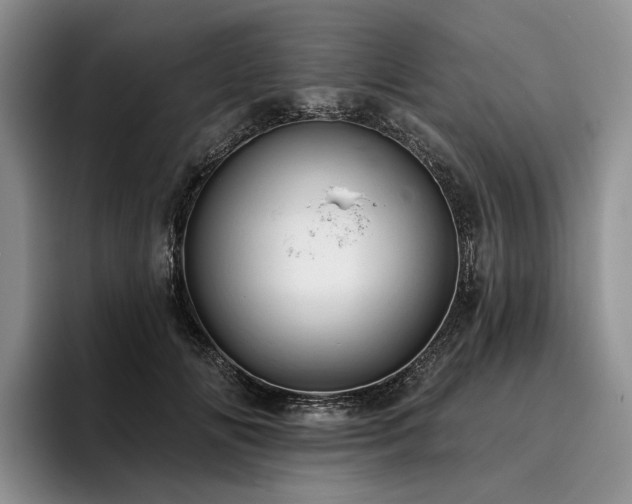 X0000096130702200801181113