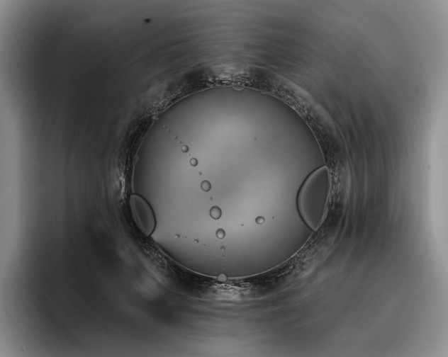 X0000096130703200801181113