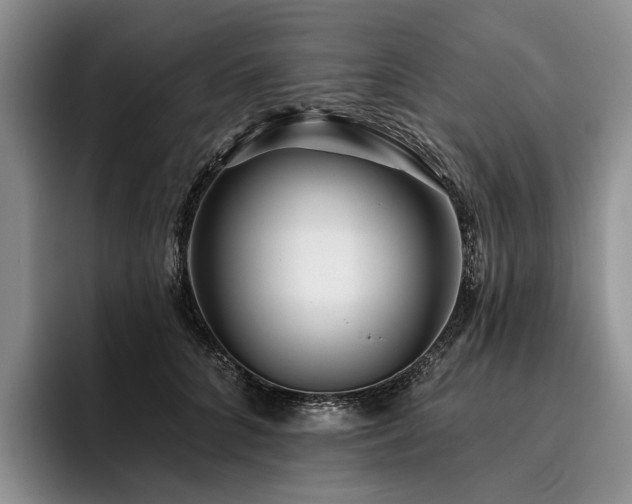 X0000096130704200801181113
