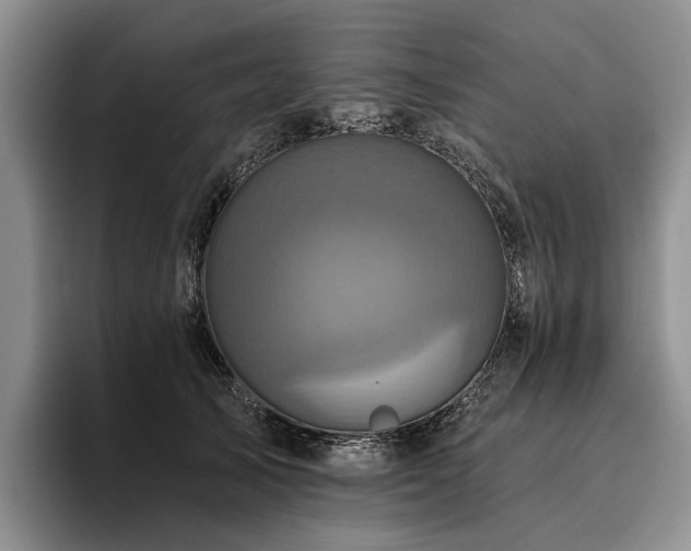 X0000096130705200801181113