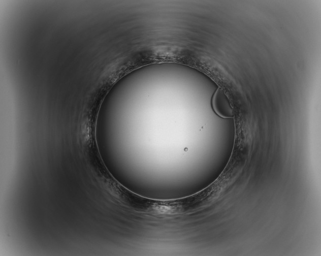X0000096130706200801181113