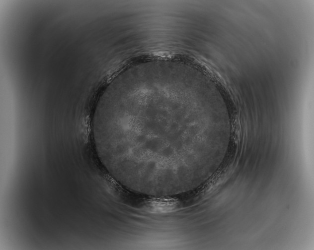 X0000096130707200801181113