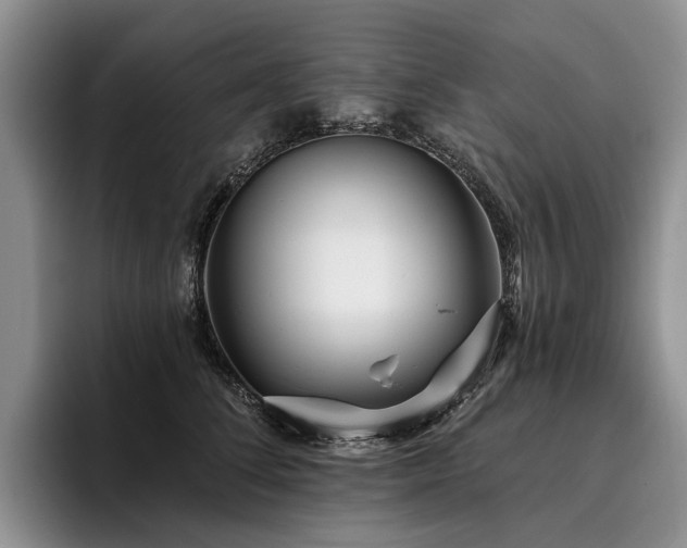 X0000096130708200801181113