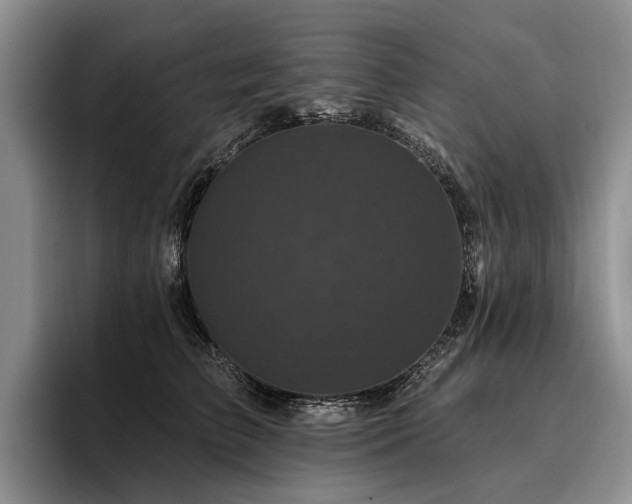 X0000096130709200801181113