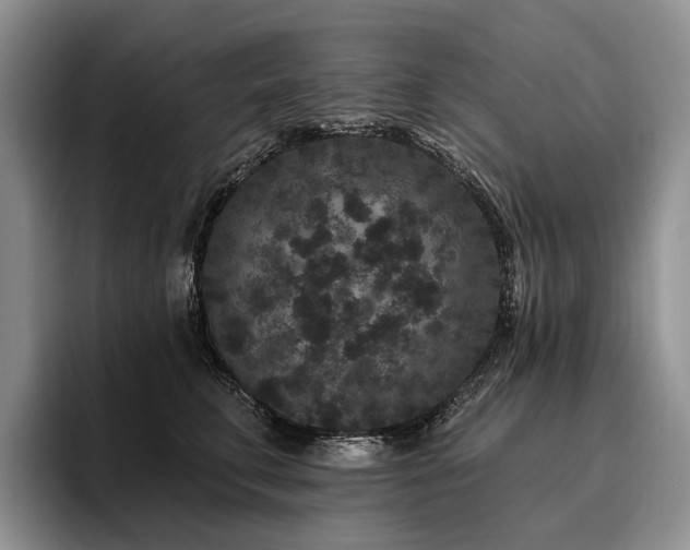 X0000096130711200801181113
