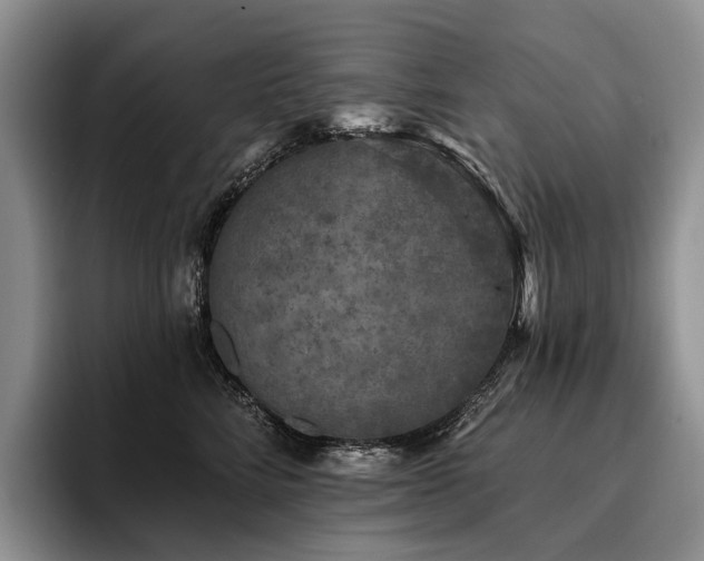 X0000096130712200801181113
