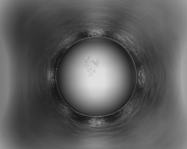 X0000096130714200801181113
