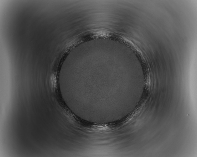 X0000096130715200801181113
