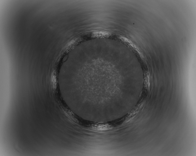 X0000096130716200801181113