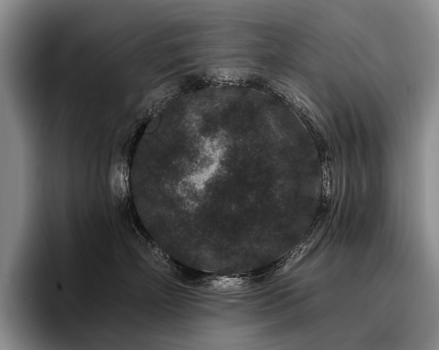 X0000096130718200801181113