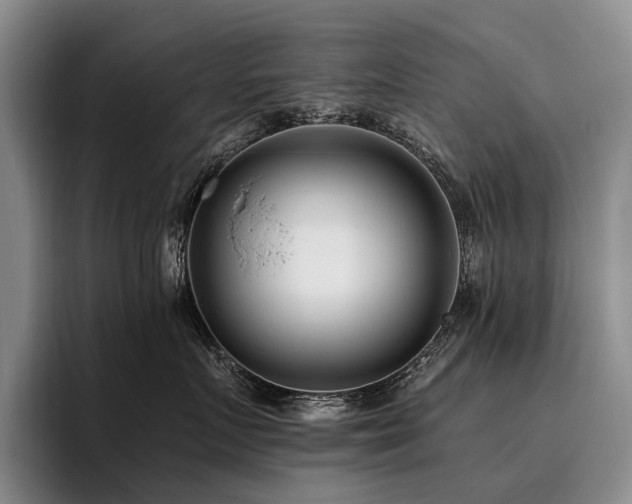 X0000096130719200801181112