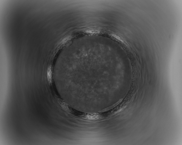 X0000096130720200801181112