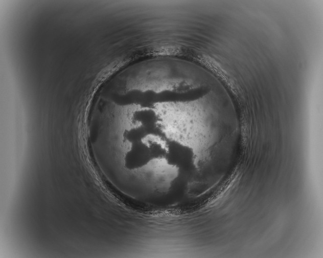X0000096130721200801181112