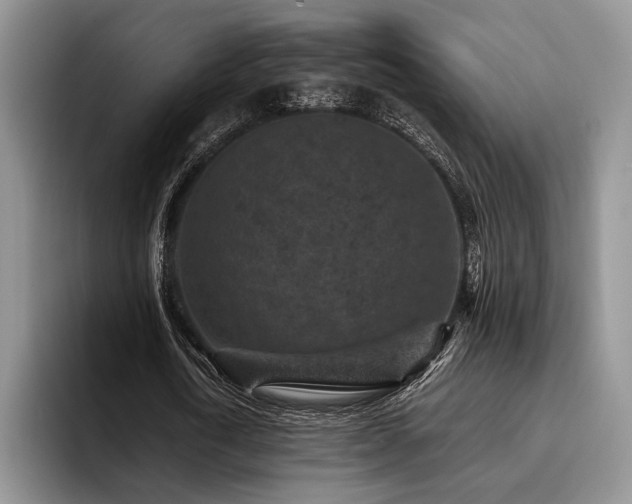X0000096130722200801181112
